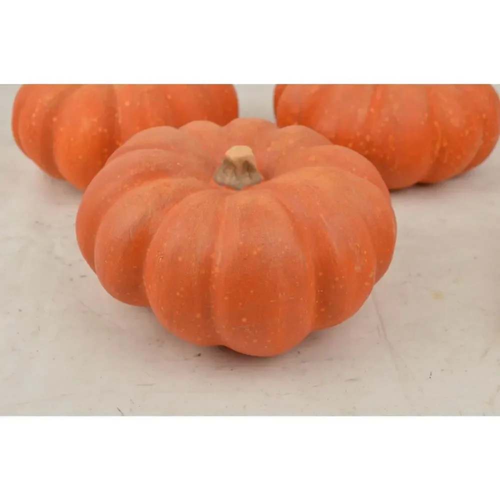 Pier 1 Fall Halloween Decor Lot Pumpkins Gourds Corn Witch Doll Autumn Harvest
